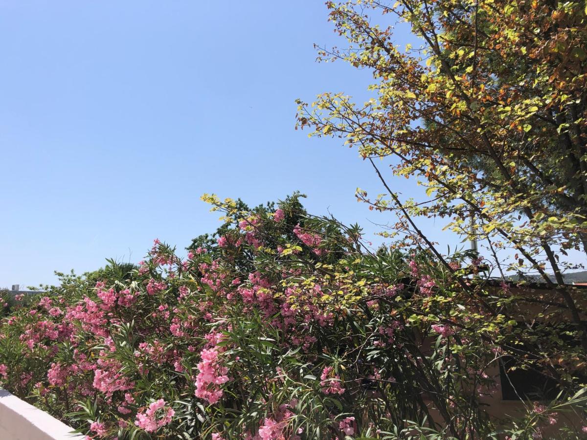 Tiglio Vieste Ngoại thất bức ảnh