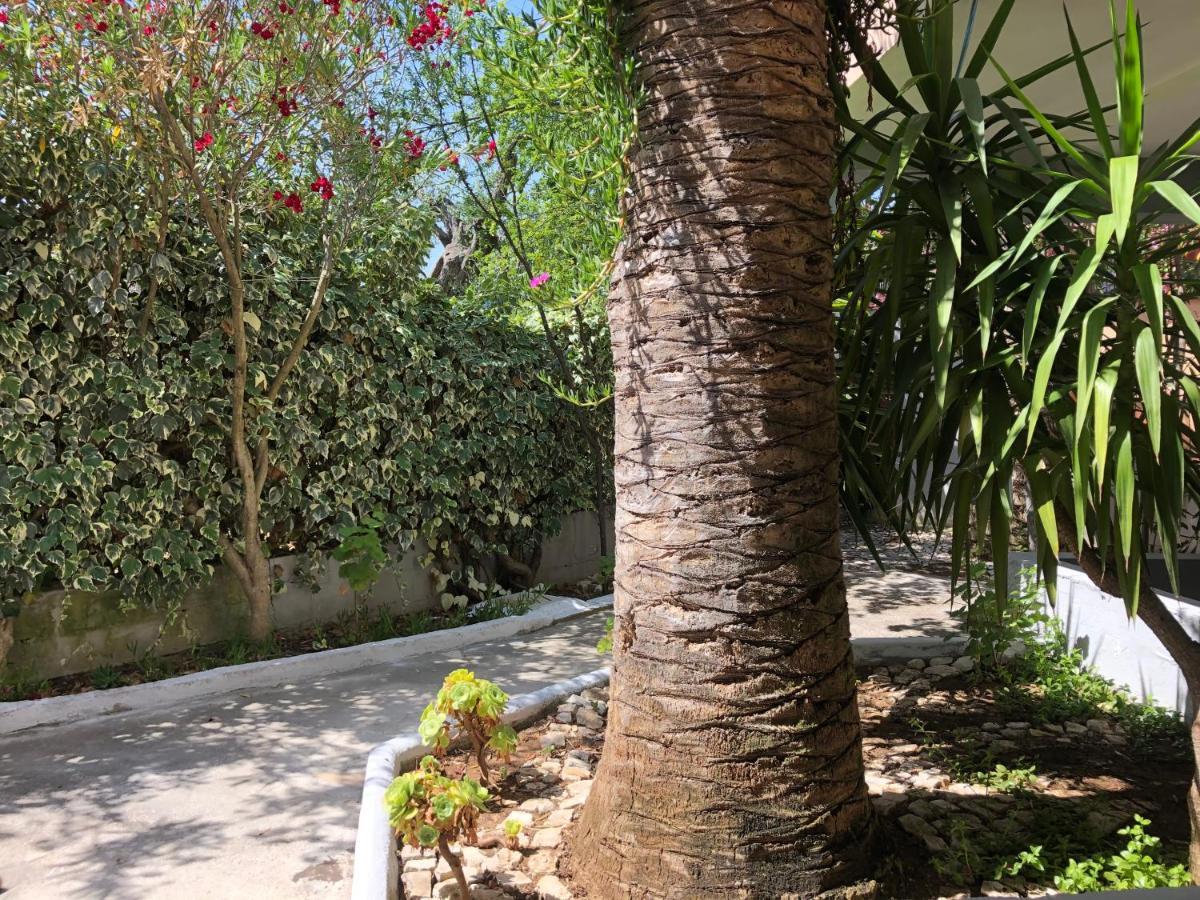 Tiglio Vieste Ngoại thất bức ảnh